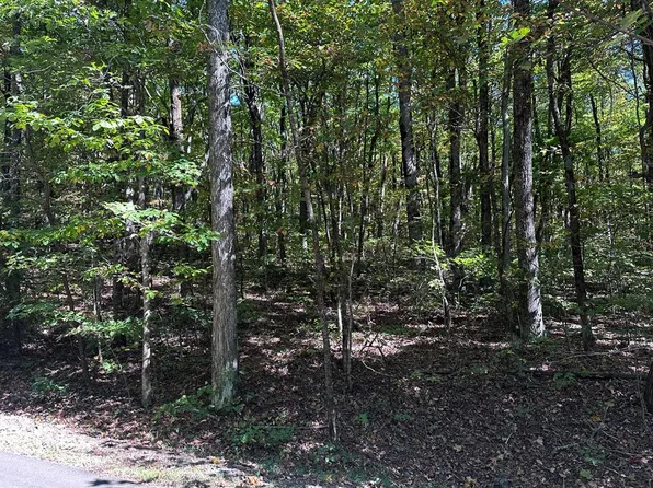 181 Saint Andrews Way, Ellijay, GA 30536