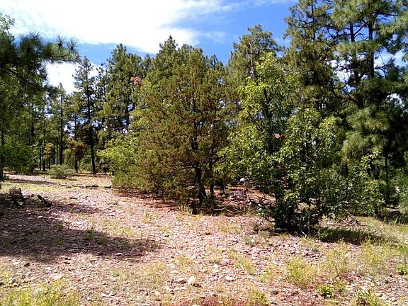 5th image of 2501 Chiricahua Dr