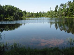 8924 Long Pond Rd, Croghan, NY 13327