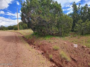 64 County Road 8145 Lot 89, Vernon, AZ 85940