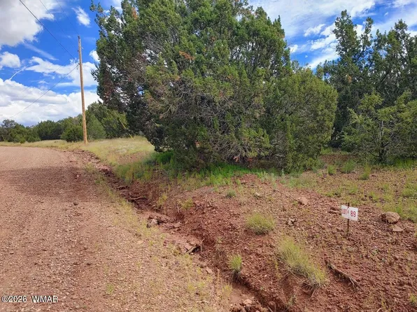 64 County Road 8145 Lot 89, Vernon, AZ 85940