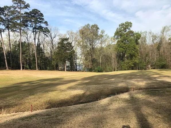 541 Wateroak Trl, Chapin, SC 29036