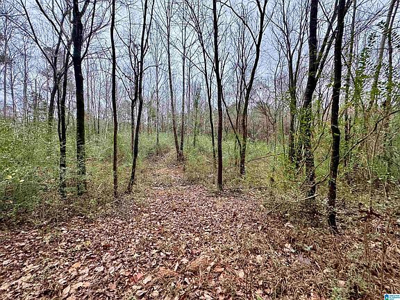 3rd image of 8260 Kermit Johnson Rd #1-2-3B