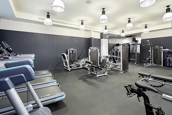 Rented by Extell Marketing Group LLC | media 16