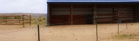 Loafing shed and corral