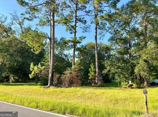 341 Sheltons Chapel Rd, Lumber City, GA 31549