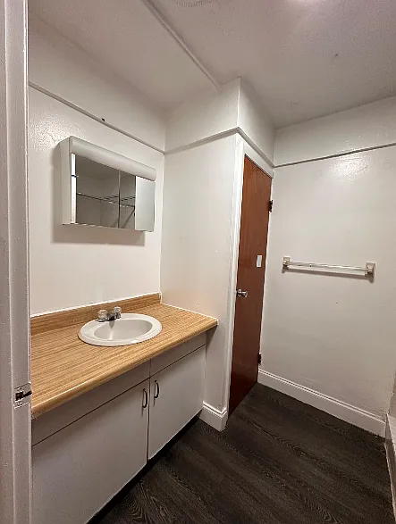 Studio, 550 sqft, $1,300 — Photo 3
