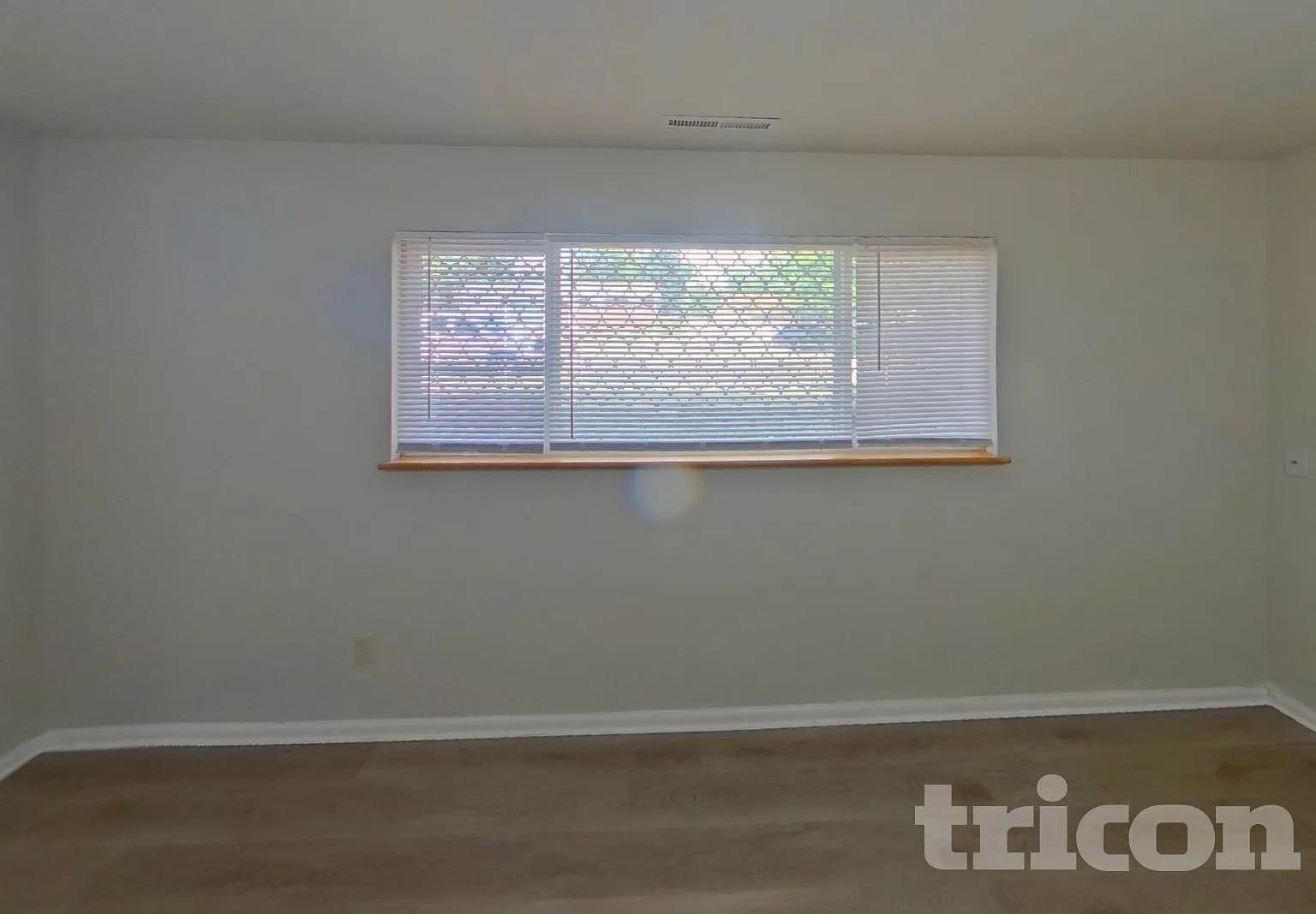 1634 Keaton Lane Colorado Springs CO — Photo 4