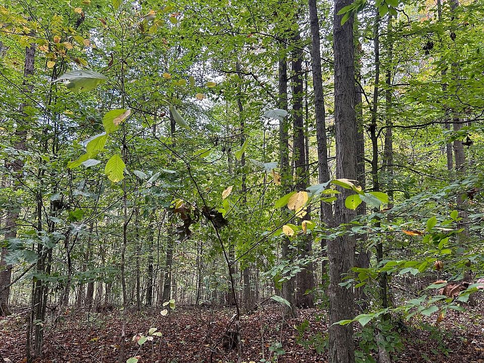 2871 Fleshman Dr Frankford WV Zillow