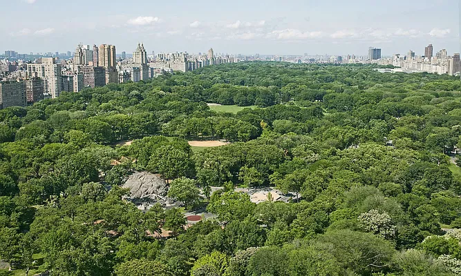 Rented by Saldo Properties | media 29