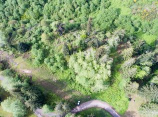 1111 Washington Cemetery Rd, Raymond, WA 98577