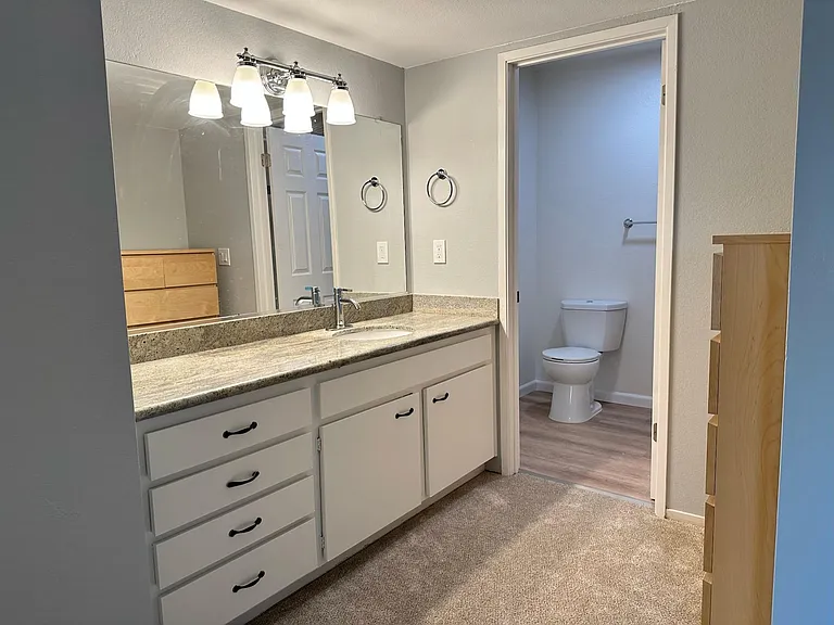 20539 Cedarbrook Trl — Photo 6