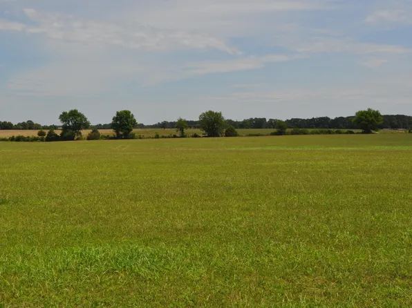 Tract 4 Porter Crossing Road, Rogersville, MO 65742