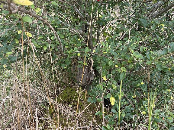 3rd image of 177 County Road 613