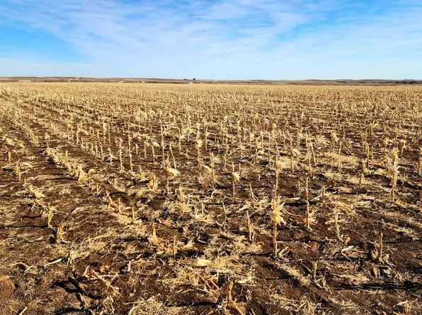 Road 33w, Bushnell, NE 69128