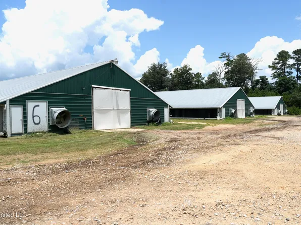 331/333 Davenport Rd, Heidelberg, MS 39439