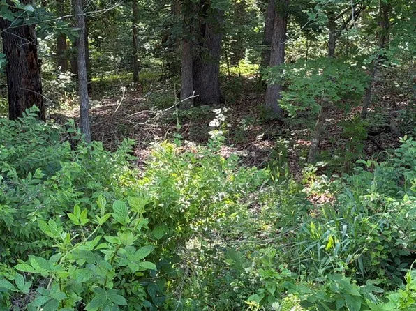 Drayton Cir #4, Bella Vista, AR 72715