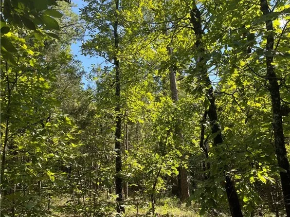 TRACT 2 SE 1083rd Ave, Red Oak, OK 74563