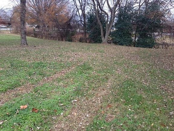 Huge backyard