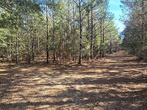 5th image of 20.5 Acres Tract #4