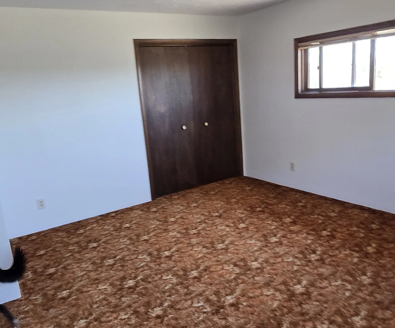 221 Cactus Drive - 1 — Photo 4