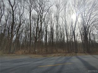 Murdock Rd #10, Medina, NY 14103