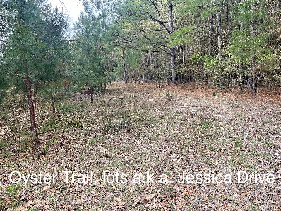 2nd image of 13 Jessica Dr