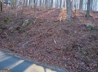 LOT M214 Walnut Rdg, Ellijay, GA 30536