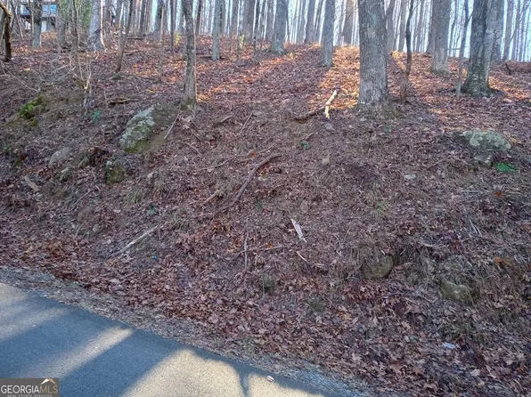 LOT M214 Walnut Rdg, Ellijay, GA 30536