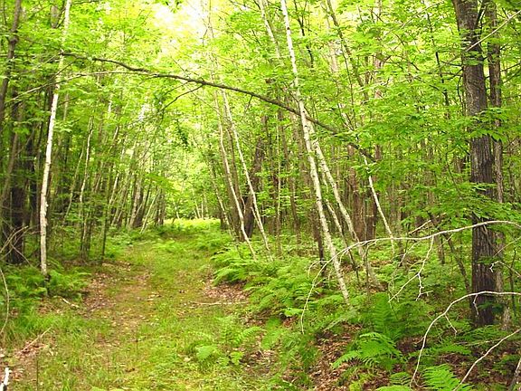 4th image of 80 Acres on Bailey Road