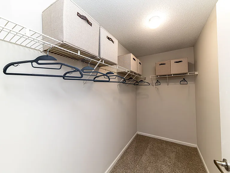 Walk-in closet with built in shelving