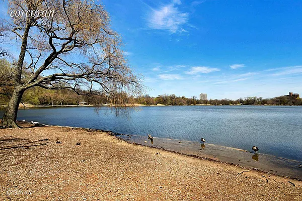 Sold by Corcoran | media 19