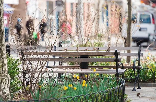 Rented by Compass | media 6