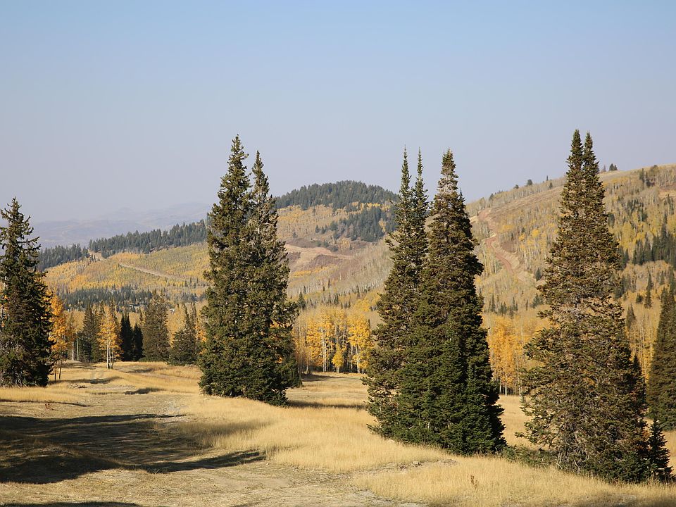 1st image of 327 White Pine Canyon Rd Lot 327