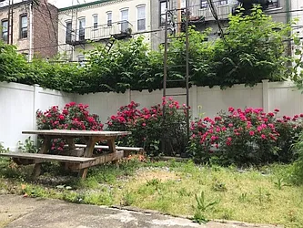 Rented by Bold New York