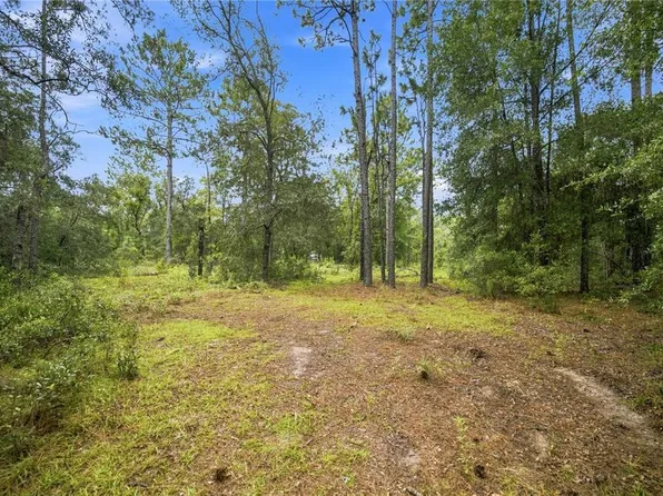 21350 SE 66TH STREET LOT 3, MORRISTON, FL 32668