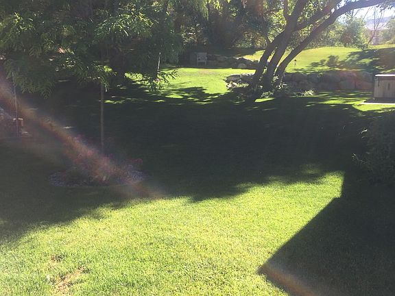 Mature trees= summer shade! 