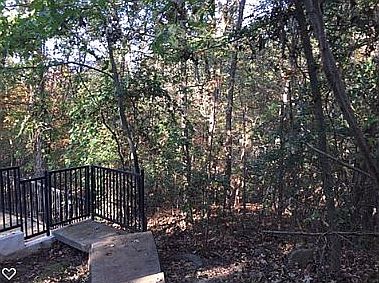 Selcuded back yard