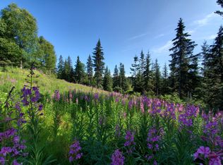 35231 Old Sterling Hwy, Anchor Point, AK 99556