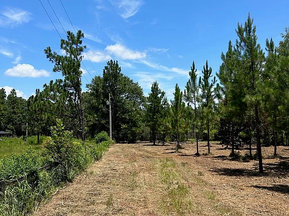 3rd image of 24769 County Road 87