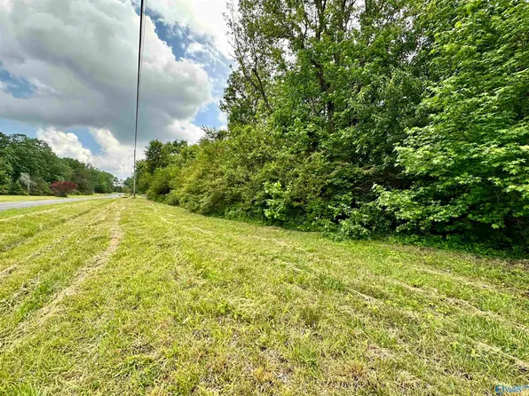 LOT 3 County Road 1009, Fort Payne, AL 35968