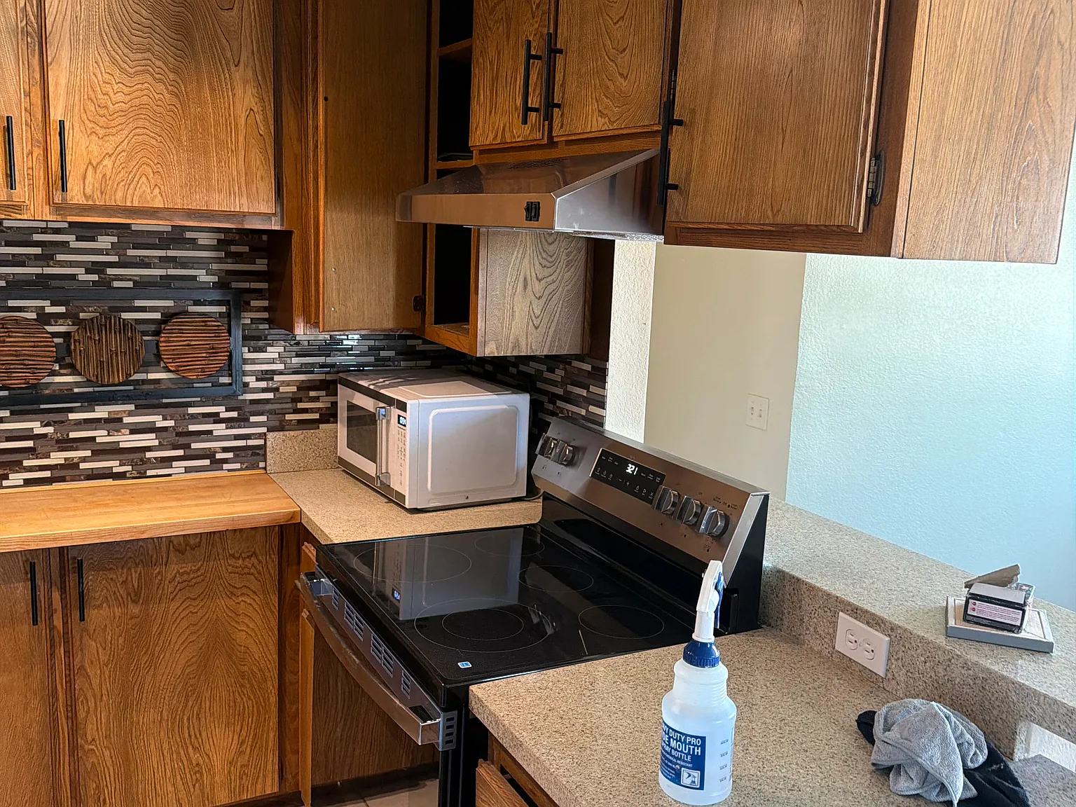 3 bed, 1046 sqft, $2,100 — Photo 2