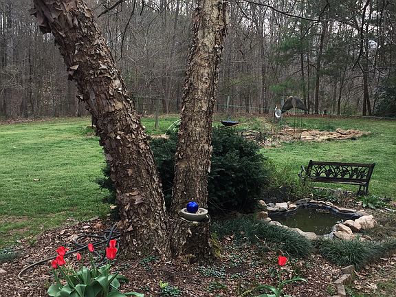 goldfish pond in backyard