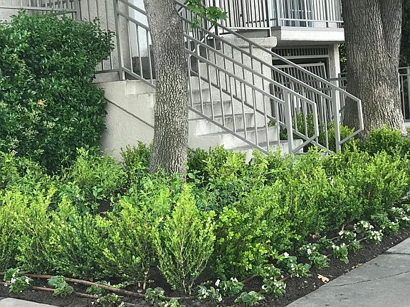 2nd image of 6450 Woodman Ave APT 3