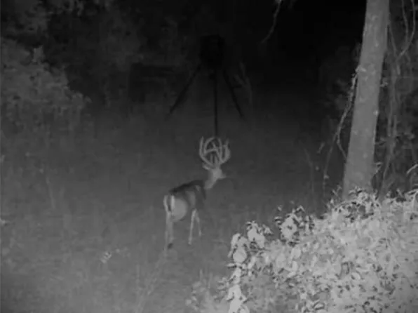 W Fm 852, Winnsboro, TX 75494
