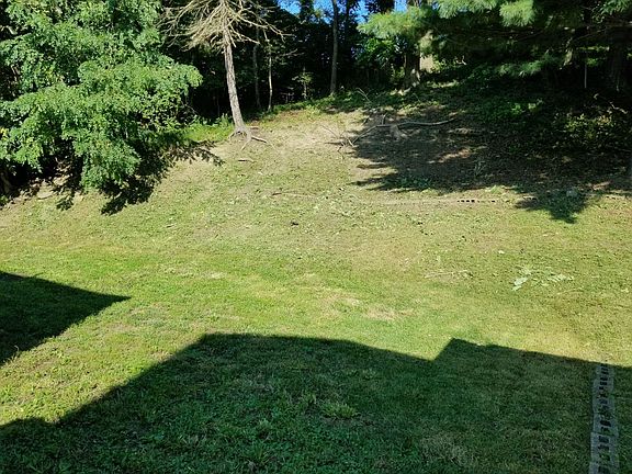 Back Yard 3