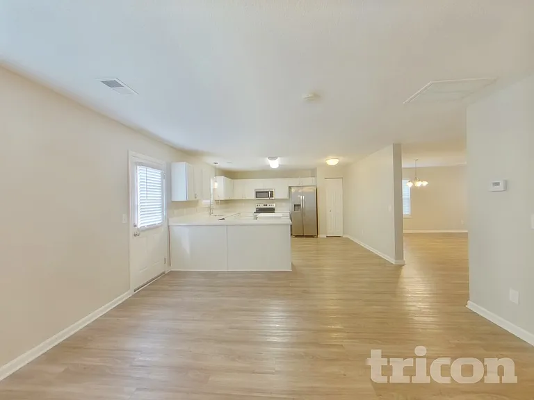 237 Tea Olive Ave — Photo 5