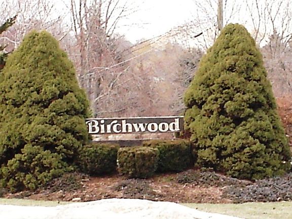 Birchwood codo