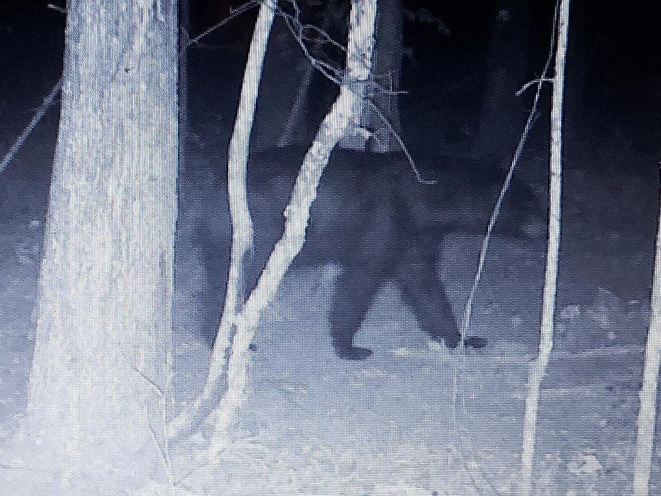 1st image of 937 N 40th Dr