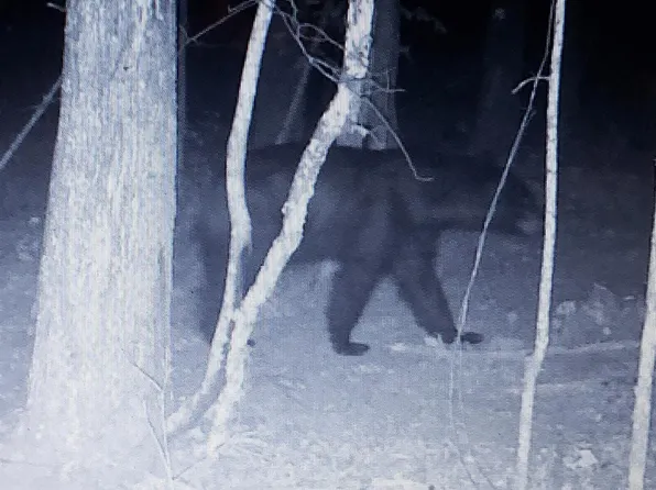 937 N 40th Dr, North, AR 72153